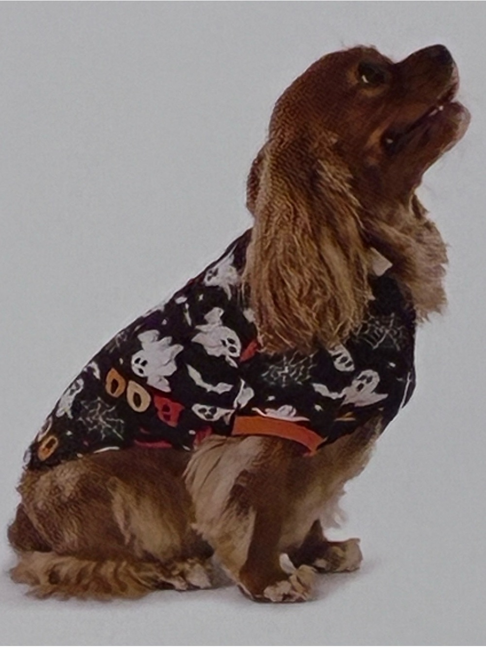 Halloween Celebrate! PJ Boo Sleepwear XL Dog 32"-36" 50-70 Lbs Pet Pajamas
